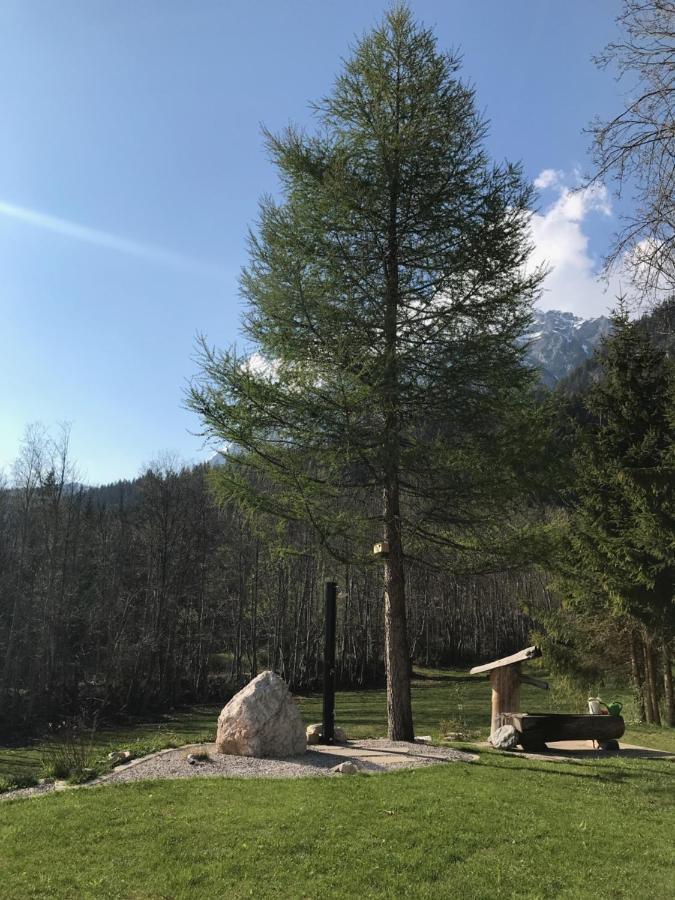 Appartementhaus Finis Apartment Ramsau am Dachstein