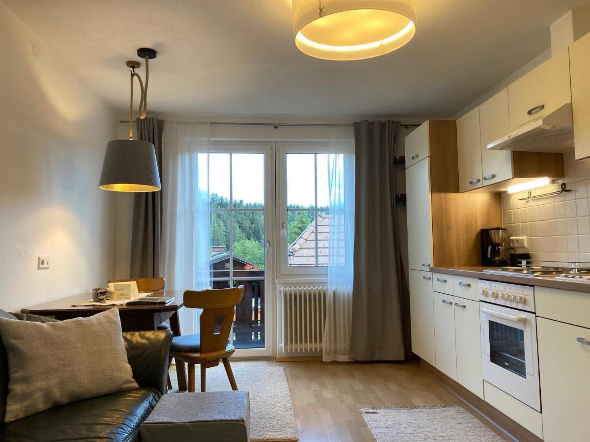 Apartment Appartementhaus Finis Ramsau am Dachstein